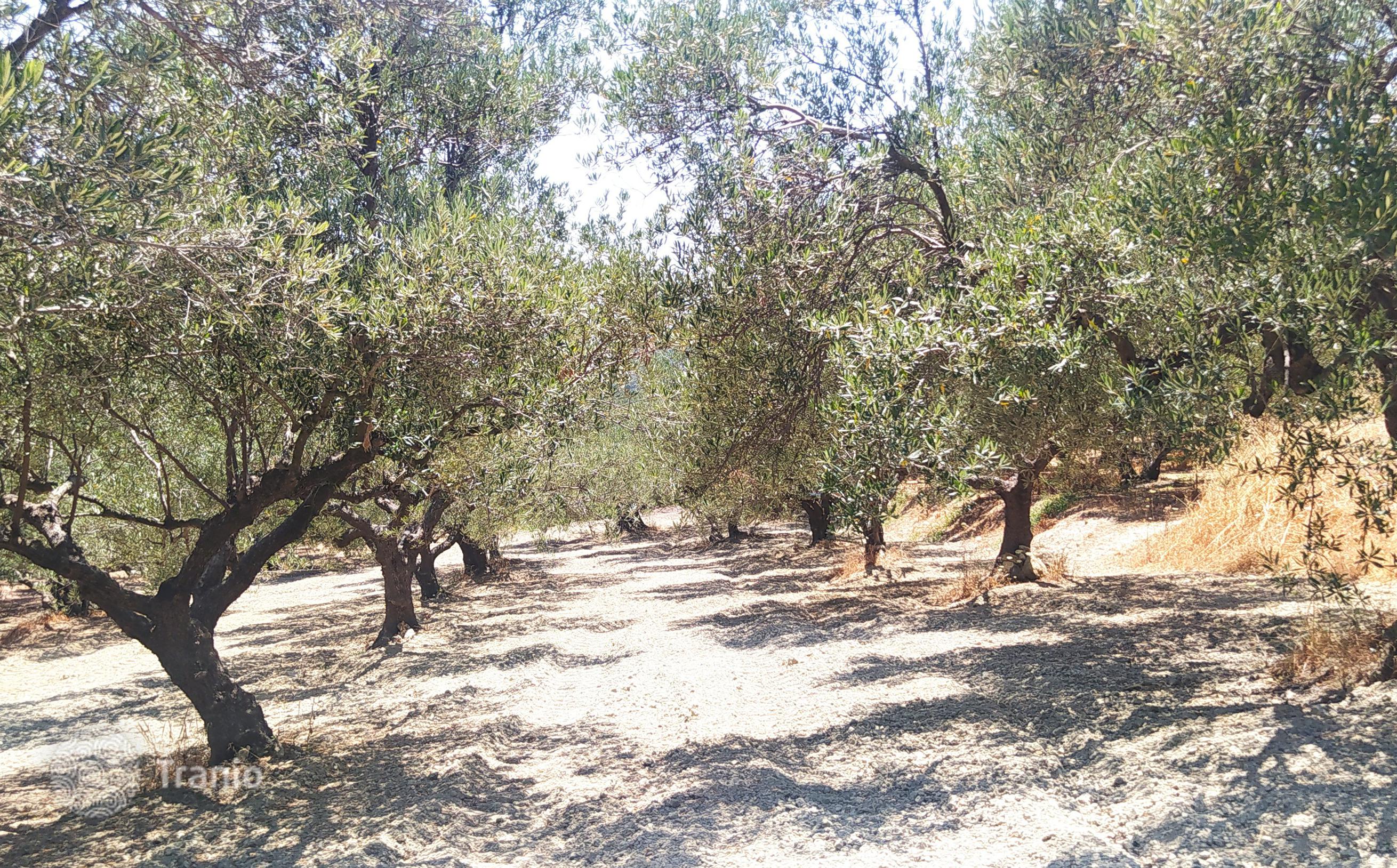 Land Plot with Sea and Mountain Views in Kolymbari, Crete, photo 2