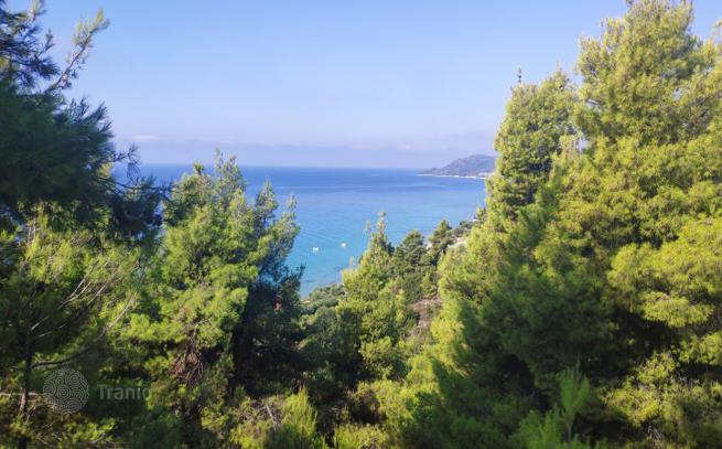 3-Bedroom House with Private Pool in Kassandra, Halkidiki, photo 5