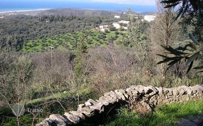 Land Plot with Olive Trees and Mountain and Sea Views in Agios Panteleimon, Corfu, photo 5