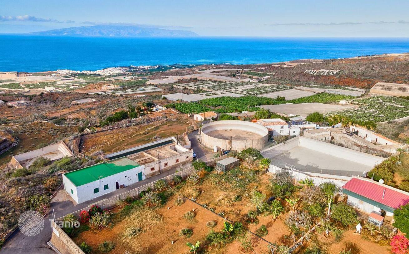 Banana Farm in Gia de Isora, Tenerife