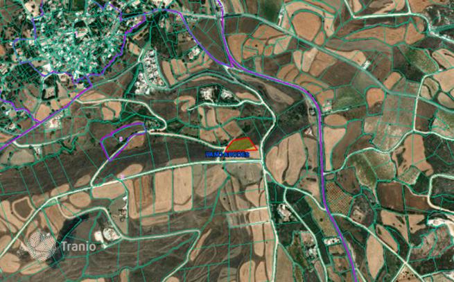 Land Plot in Pano Arodes, Paphos