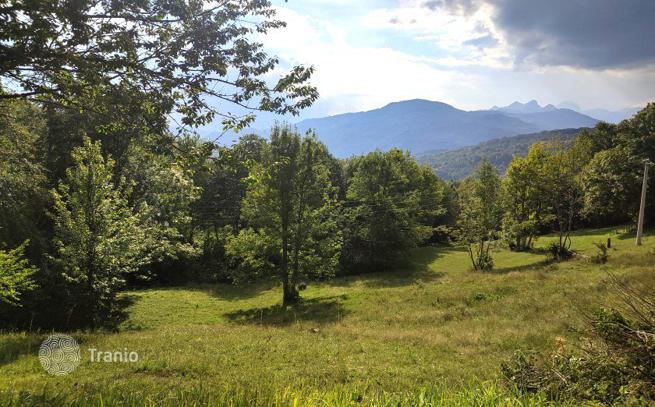 Land Plot in Kolasin, Montenegro, photo 3