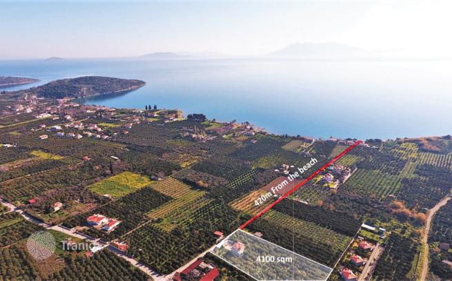 2-Bedroom Villa 100 m from the Sea in Epidavros, Peloponnese, photo 2