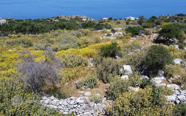 Large Land Plot with Sea and Mountain Views in Kephalas, Crete
