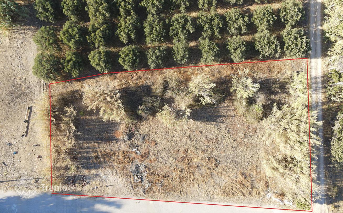 Land Plot 120 m from the Beach in Platanyas, Crete, photo 4