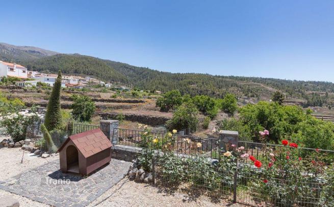 Mountain House with Large Plot and Mountain Views in Vilaflor, Tenerife, photo 2