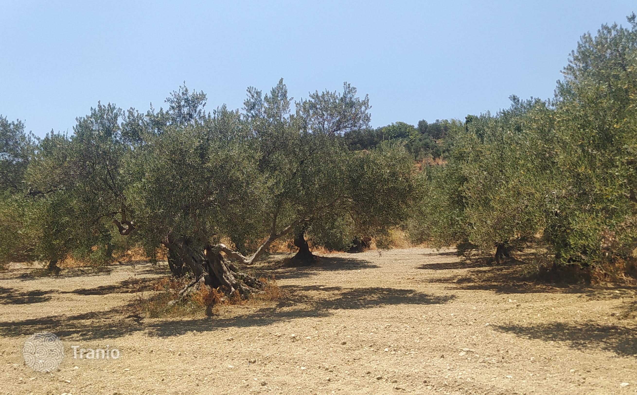 Land Plot with Sea and Mountain Views in Kolymbari, Crete