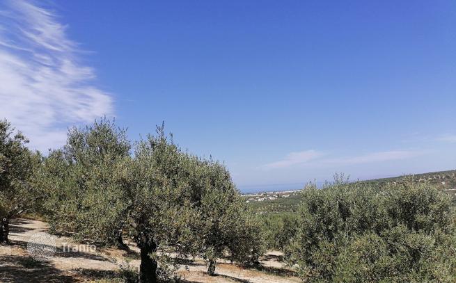 Land Plot with Sea and Mountain Views in Crete, photo 3