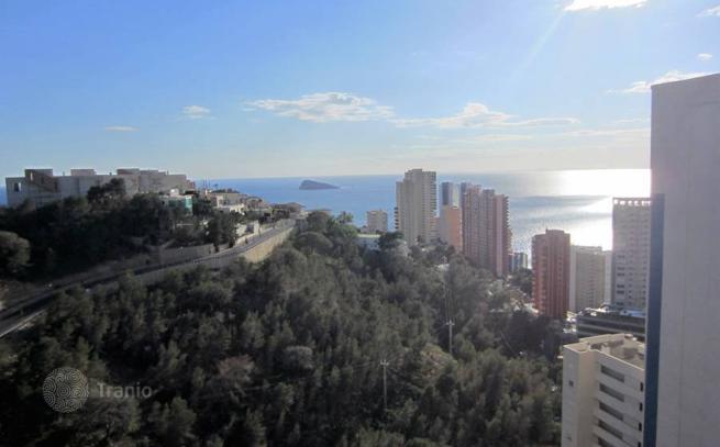 2-Bedroom Apartment with Shared Pool and Gym in Benidorm, photo 3