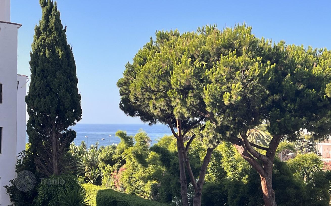 1-Bedroom Apartment with Sea View in Puerto Banus, Marbella, photo 3