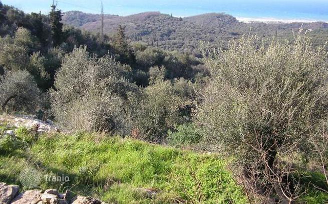 Land Plot with Olive Trees and Mountain and Sea Views in Agios Panteleimon, Corfu, photo 4