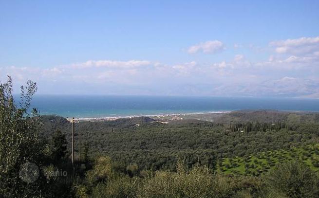 Land Plot with Olive Trees and Mountain and Sea Views in Agios Panteleimon, Corfu, photo 2