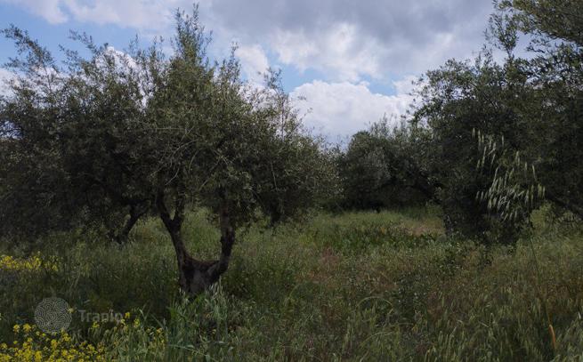 Land Plot for Development in Chania, Crete