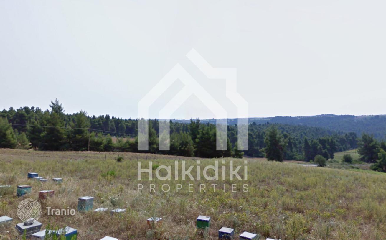 Land Plot with Mountain View in Kassandra, Greece, photo 4