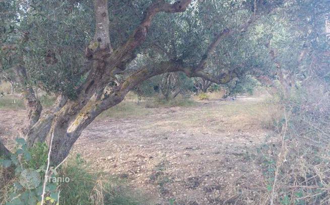Land Plot with Sea View in Kissamos, Crete, photo 4