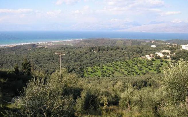 Land Plot with Olive Trees and Mountain and Sea Views in Agios Panteleimon, Corfu