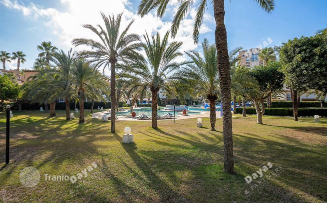 3-Bedroom Apartment in Torrevieja, photo 2
