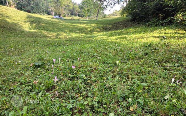 Land Plot in Kolasin, Montenegro, photo 4