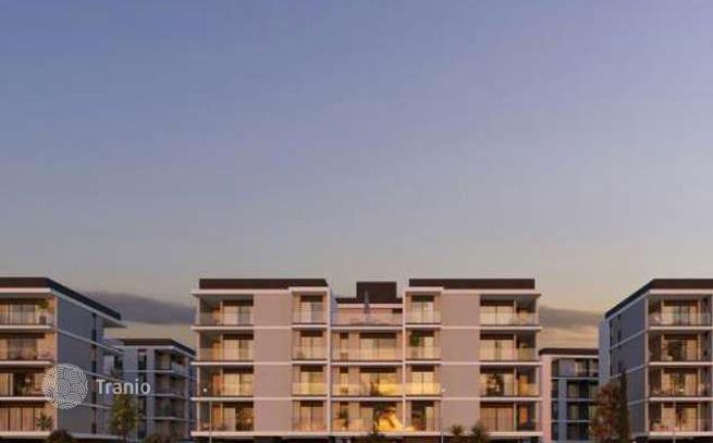 1-Bedroom Apartment with Garden and Pool Views in Zakaki, Limassol, photo 2