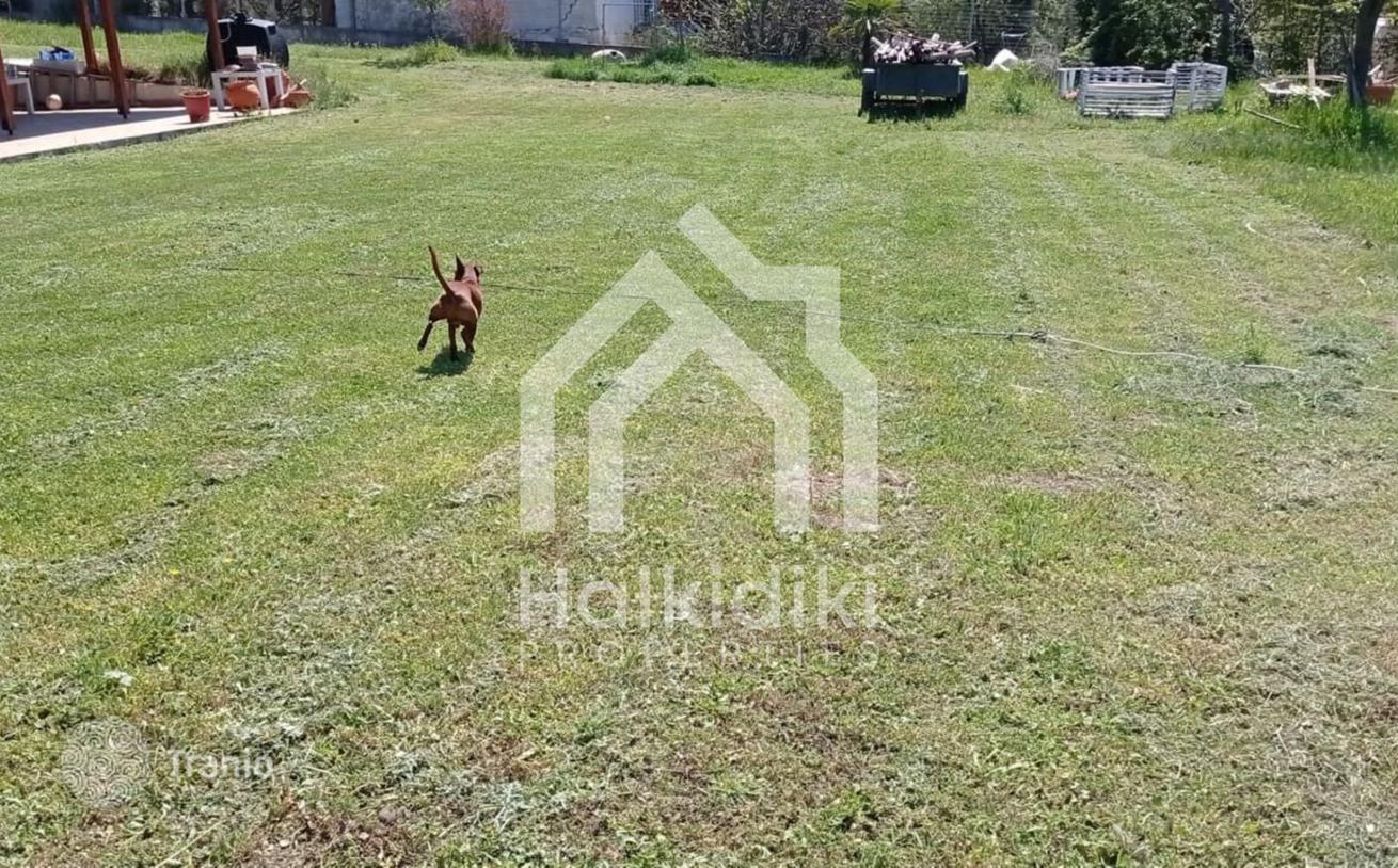 6-Bedroom House on 4,036 m² in Halkidiki, Greece, photo 5