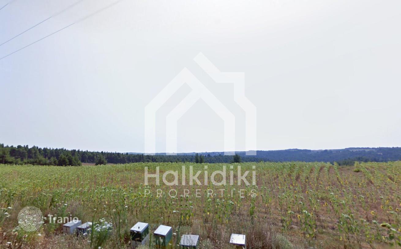 Land Plot with Mountain View in Kassandra, Greece, photo 2