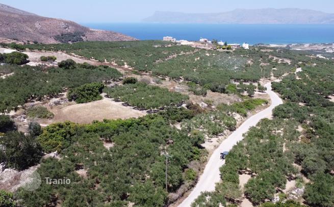 Land Plot with Sea View in Kissamos, Crete