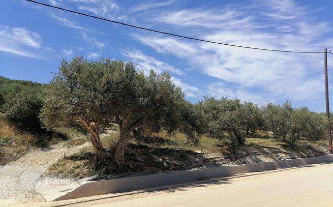 Land Plot with Sea and Mountain Views in Crete, photo 4