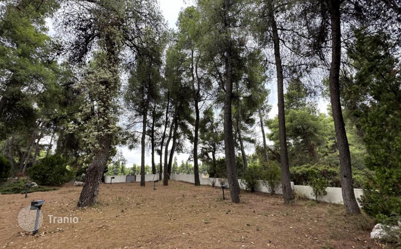 5-Bedroom House 240 m² in Sani, Halkidiki, photo 5