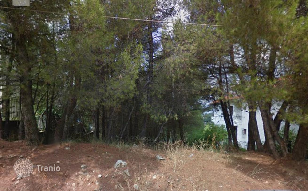 Land Plot in Dionysus, Athens