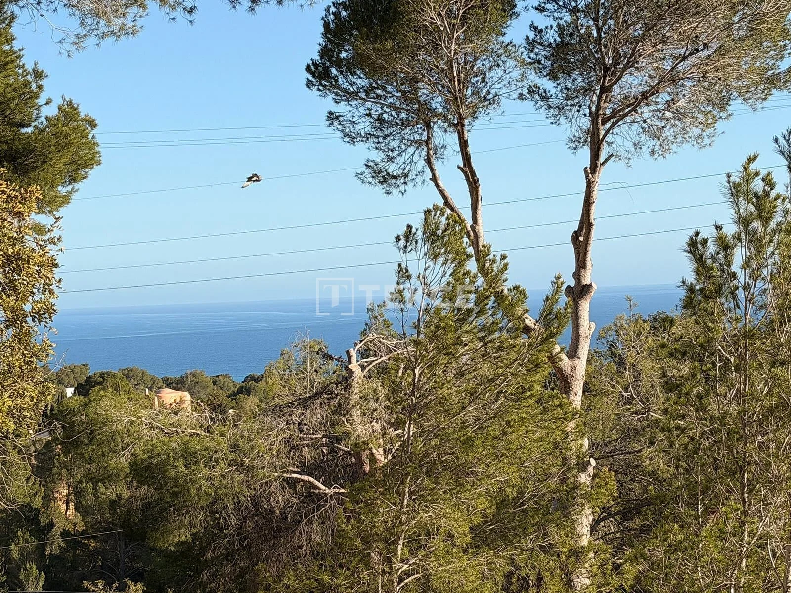 2,120 m² Land Plot with Sea and Mountain Views in Altea, photo 3