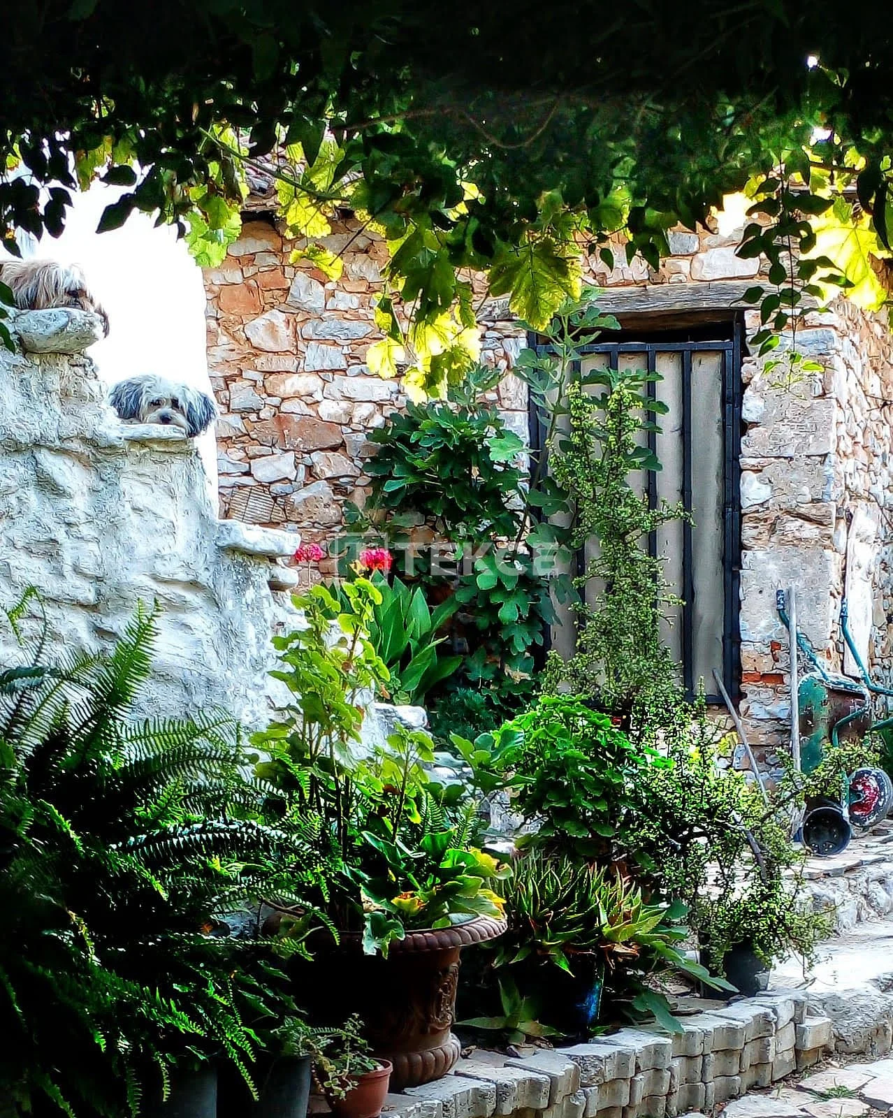4-Bedroom Stone Villa with Garden in Milas, photo 4