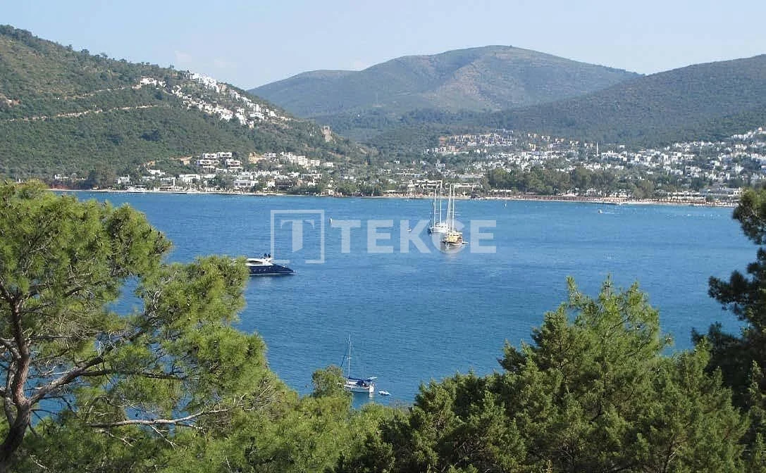 4-Bedroom (5-Room) Beachfront Villa with Private Pool in Bodrum, photo 3