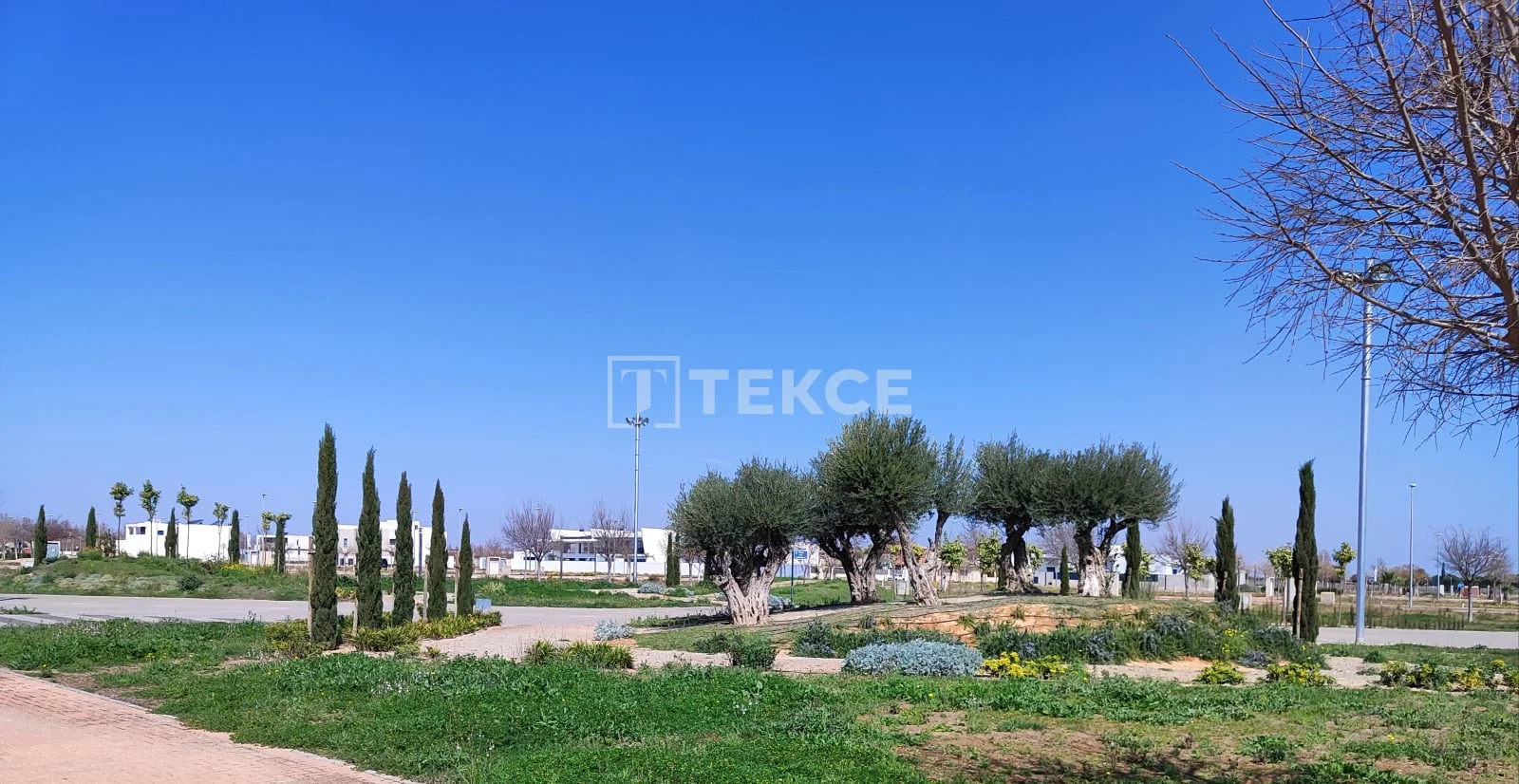 3-Bedroom Apartment with Garden and Terrace in Torre-Pacheco, photo 4