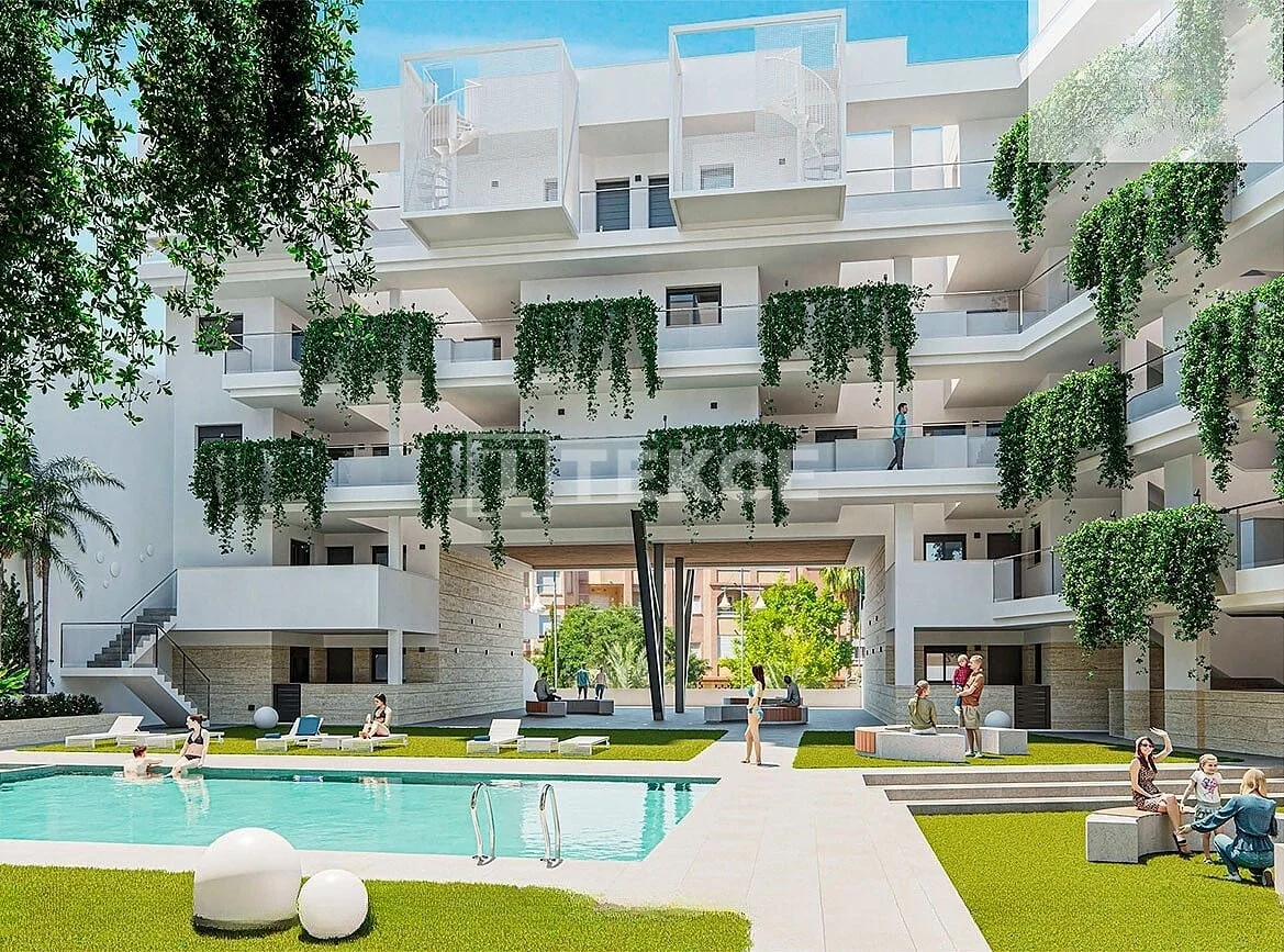 3-Bedroom Penthouse and Apartment with Pool in Torrevieja, photo 3