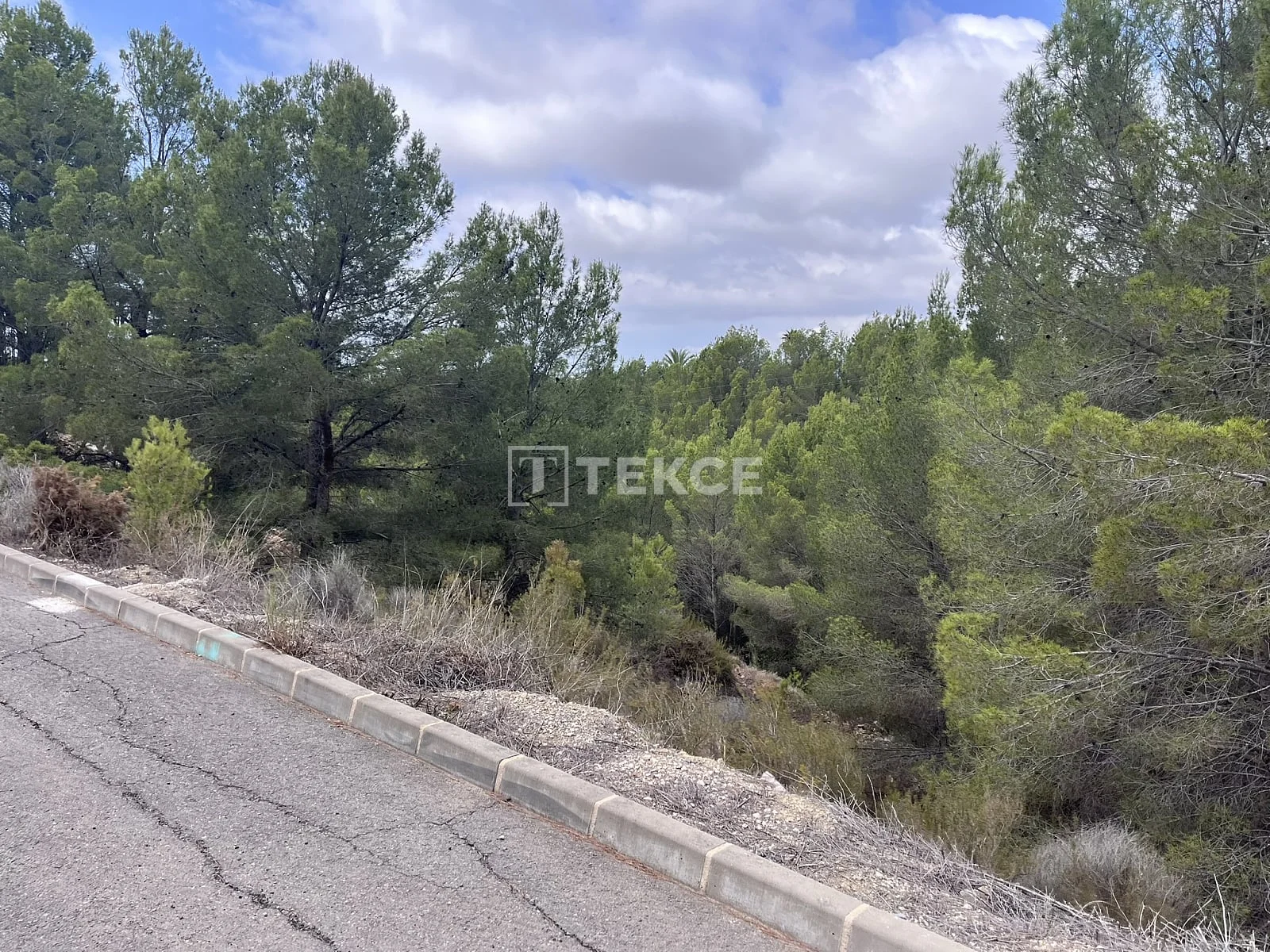 4,812 m² Land Plot with Sea Views in Altea, photo 3