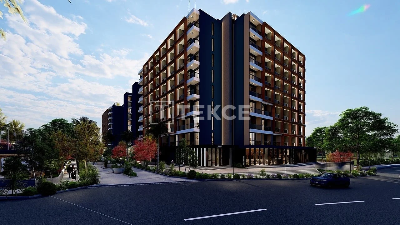 Studio Apartment Near the Beach in Mersin, photo 5