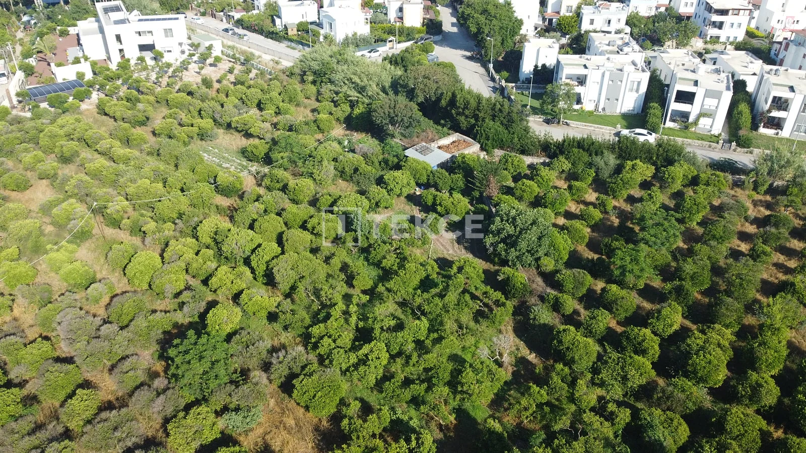 18,000 m² Land Plot with City View in Bodrum, Turkey, photo 5