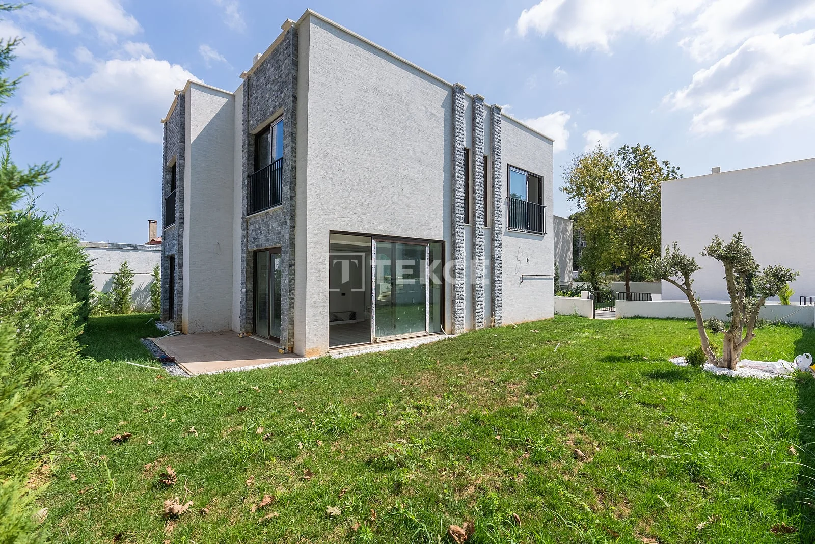 4-Bedroom Villa with Private Pool in Istanbul, photo 4
