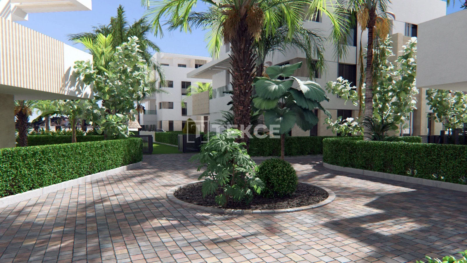 3-Bedroom Penthouse with Shared Pool in Torre Pacheco, photo 4