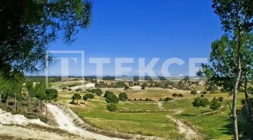 3-Bedroom Villa with Private Pool in Pilar de la Horadada, photo 4