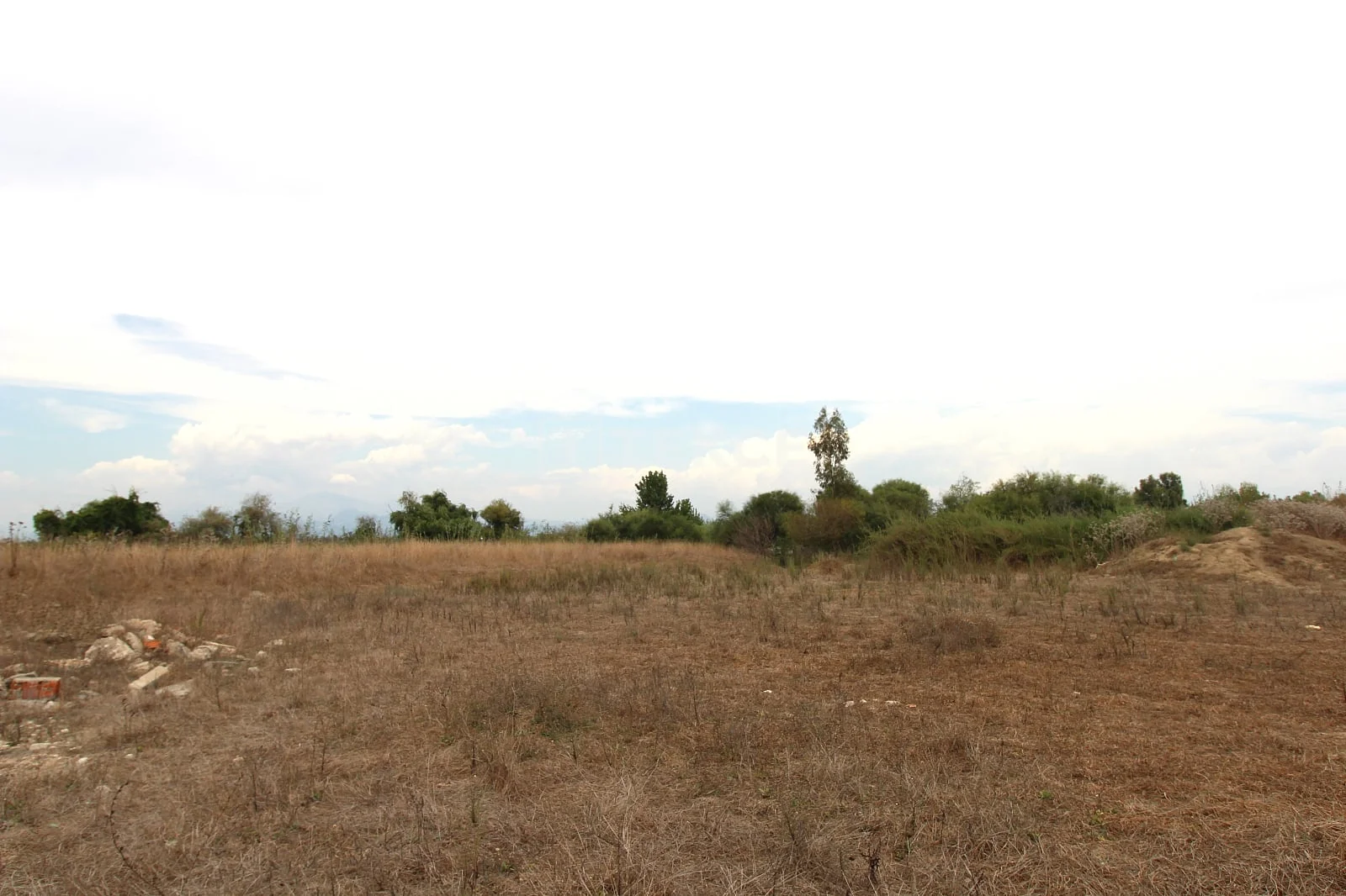 889 m² Land Plot with Nature Views in Belek, photo 3