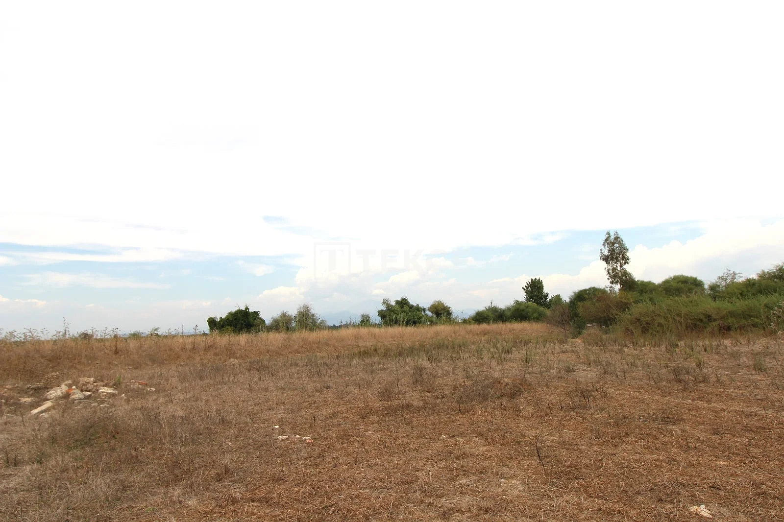 889 m² Land Plot with Nature Views in Belek, photo 2