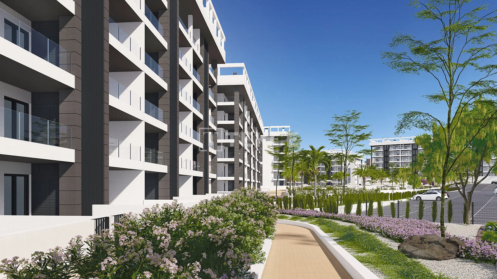 3-Bedroom Apartment with Terrace and Solarium in Torrevieja, photo 5